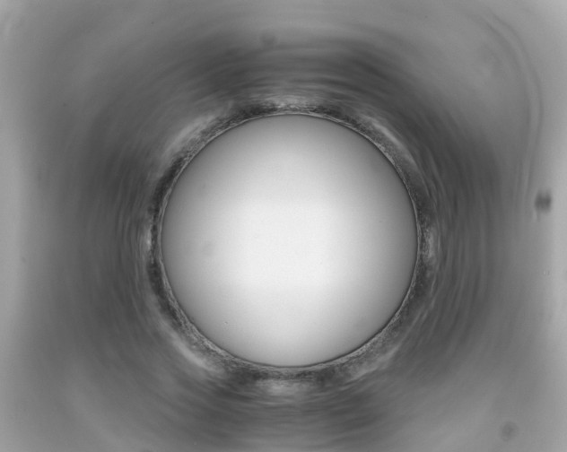 X0000091860733200709050956