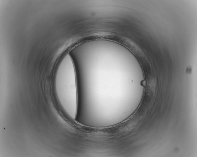 X0000091860734200709050956