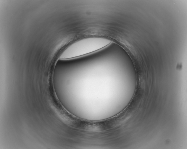 X0000091860735200709050956