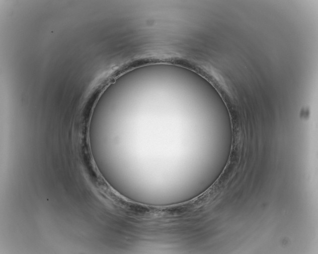 X0000091860736200709050956