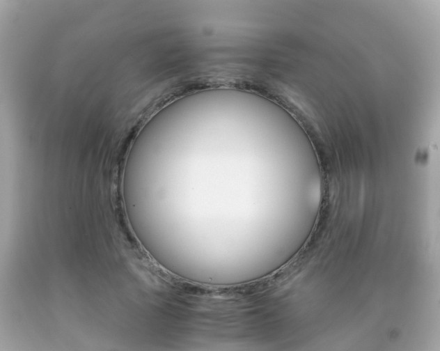 X0000091860737200709050956