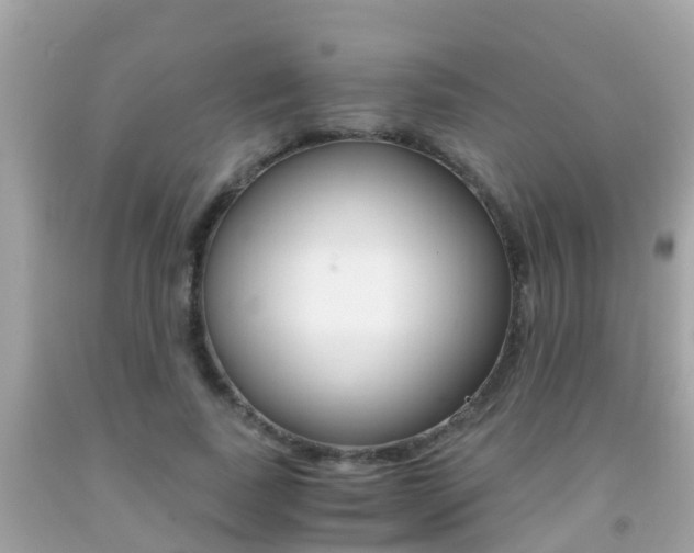 X0000091860739200709050956