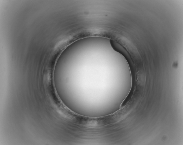 X0000091860740200709050956