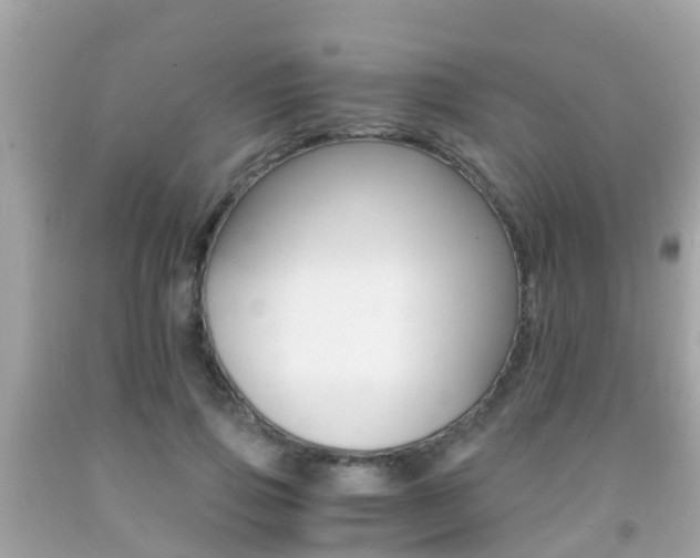 X0000091860741200709050956