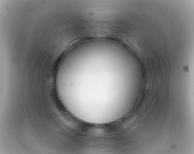 X0000091860743200709050956