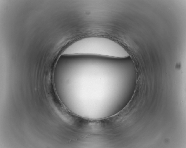 X0000091860744200709050956