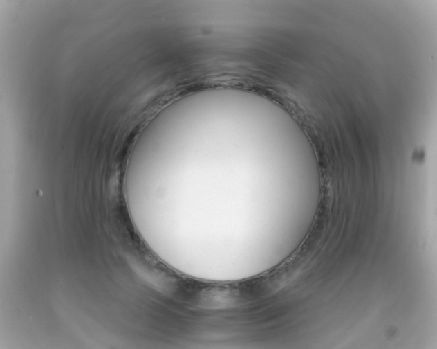 X0000091860745200709050956