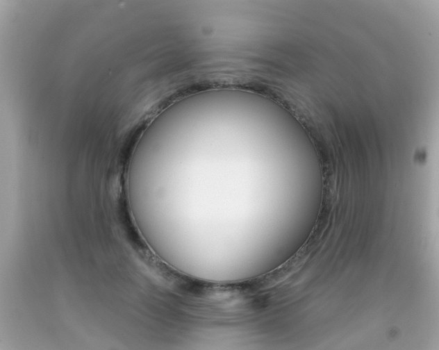 X0000091860746200709050956