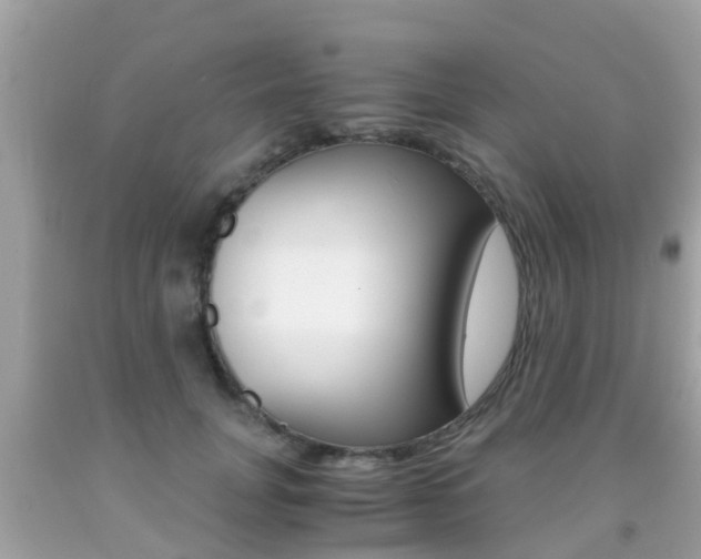 X0000091860751200709050956