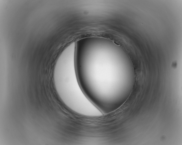 X0000091860752200709050956