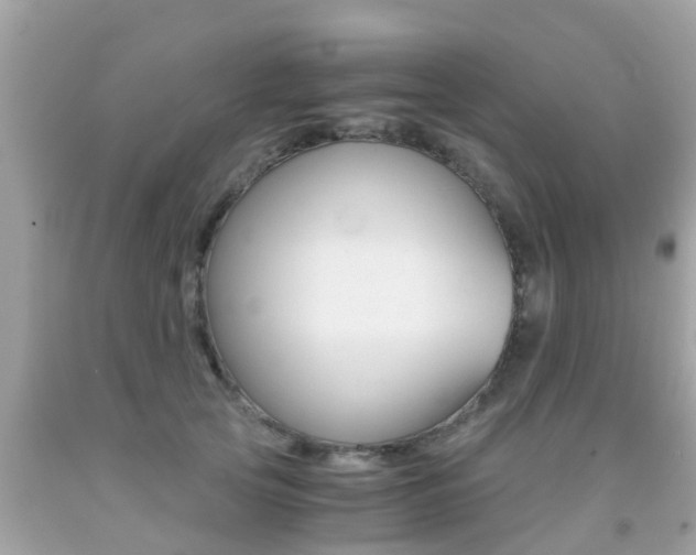 X0000091860753200709050956