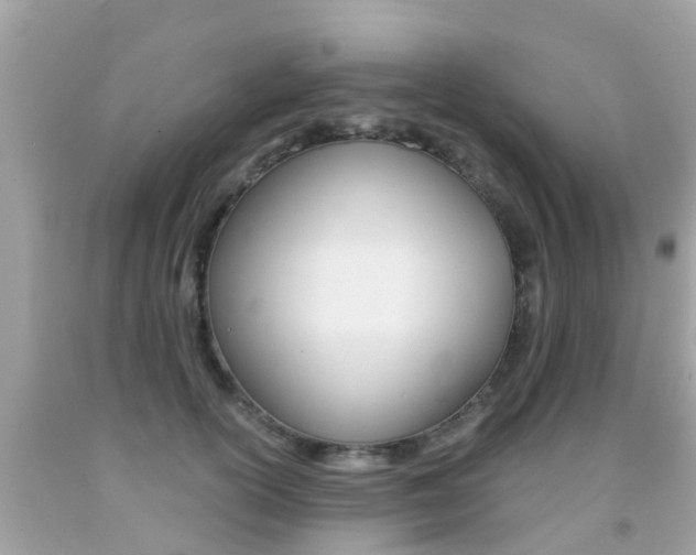 X0000091860754200709050956