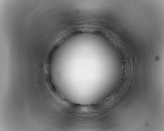 X0000091860755200709050956