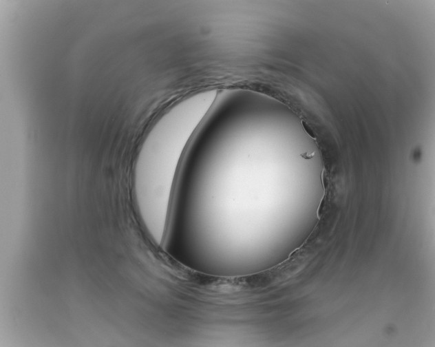 X0000091860756200709050956