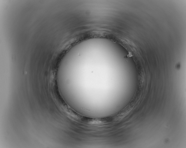 X0000091860759200709050956
