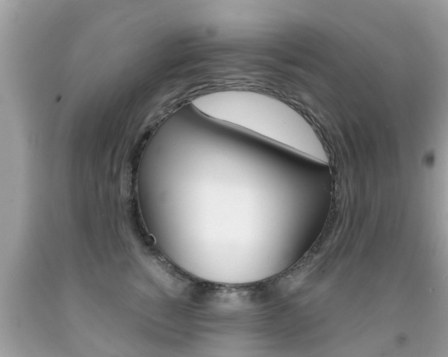 X0000091860760200709050956