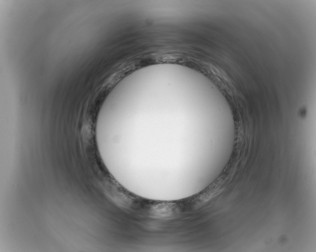 X0000091860761200709050956