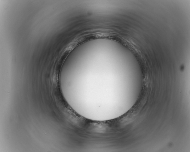 X0000091860763200709050957