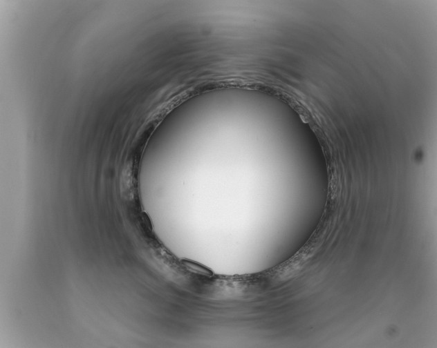 X0000091860764200709050957