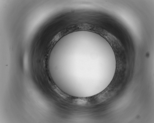 X0000091860765200709050957
