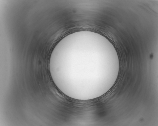 X0000091860766200709050957