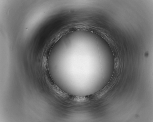 X0000091860767200709050957