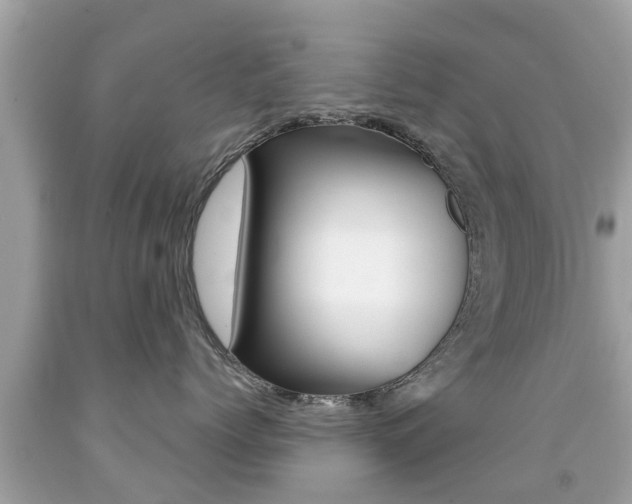 X0000091860768200709050957