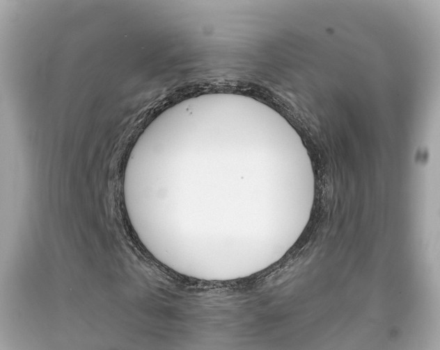 X0000091860769200709050956