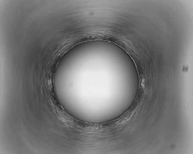 X0000091860771200709050956