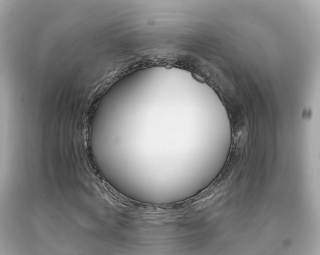 X0000091860772200709050956