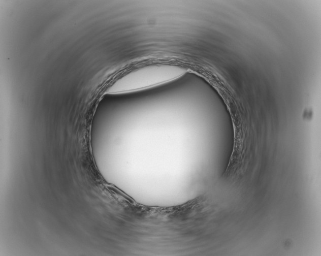X0000091860773200709050956
