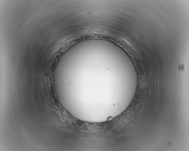 X0000091860774200709050956