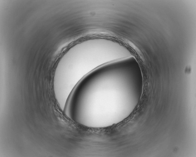 X0000091860775200709050956
