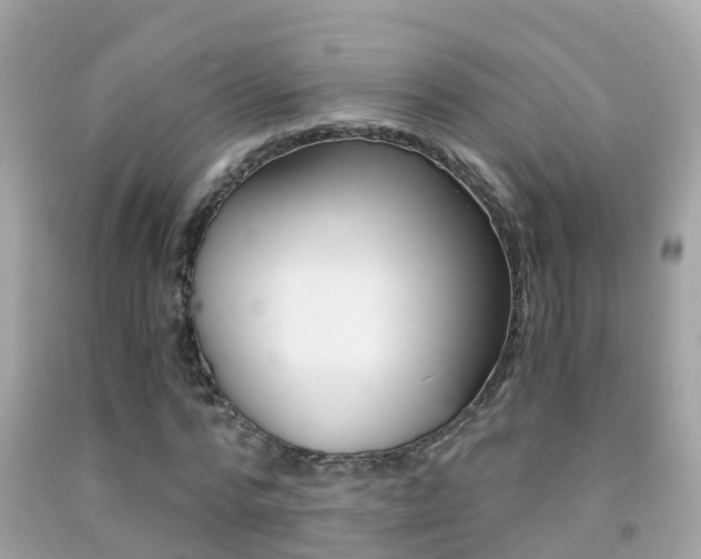 X0000091860776200709050956