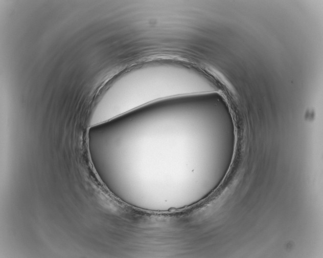 X0000091860777200709050956