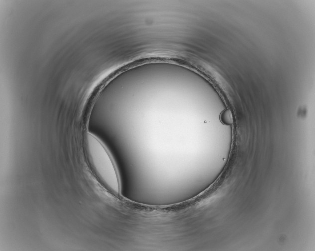 X0000091860779200709050956
