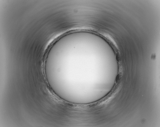 X0000091860781200709050956