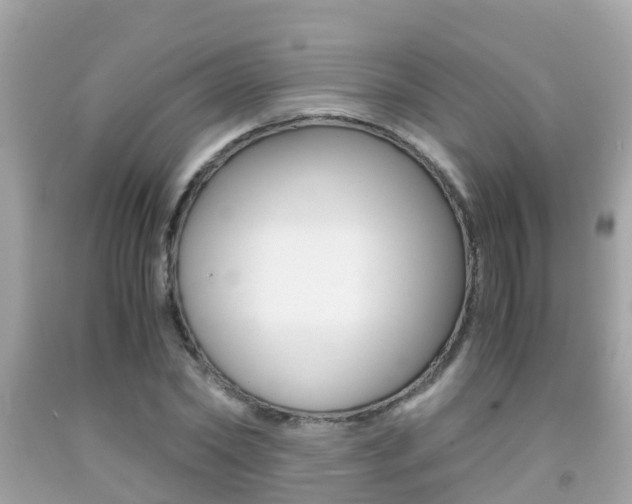 X0000091860782200709050956