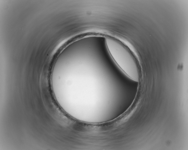 X0000091860783200709050956