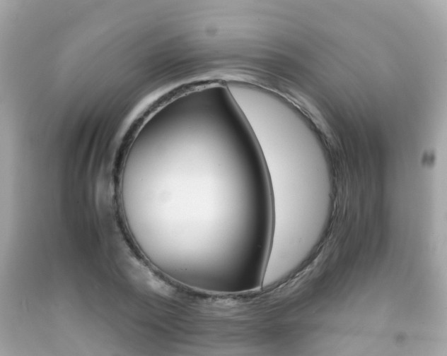 X0000091860784200709050956