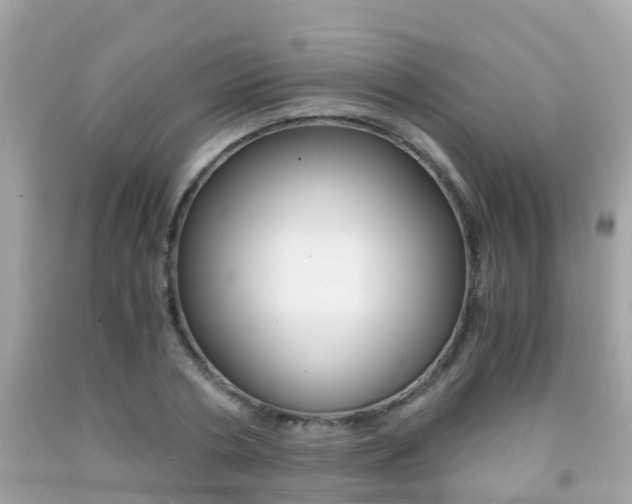 X0000091860786200709050956