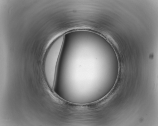 X0000091860789200709050956