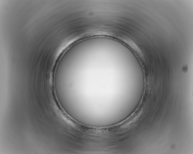 X0000091860790200709050956