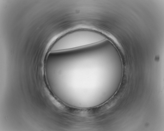 X0000091860791200709050956