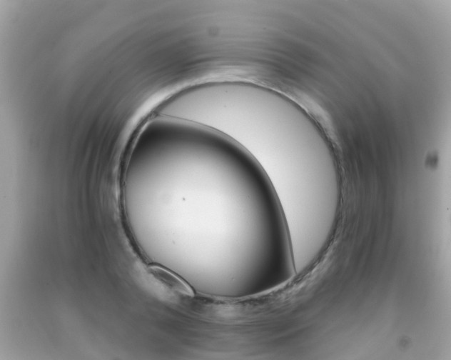X0000091860792200709050956