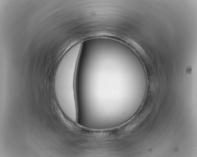 X0000091860793200709050956