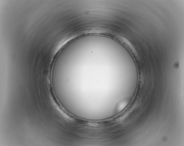 X0000091860794200709050956
