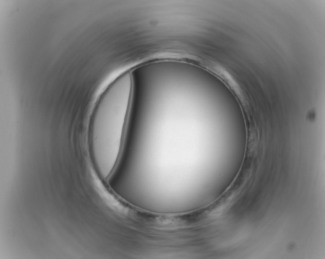 X0000091860795200709050956