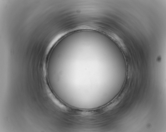 X0000091860796200709050956
