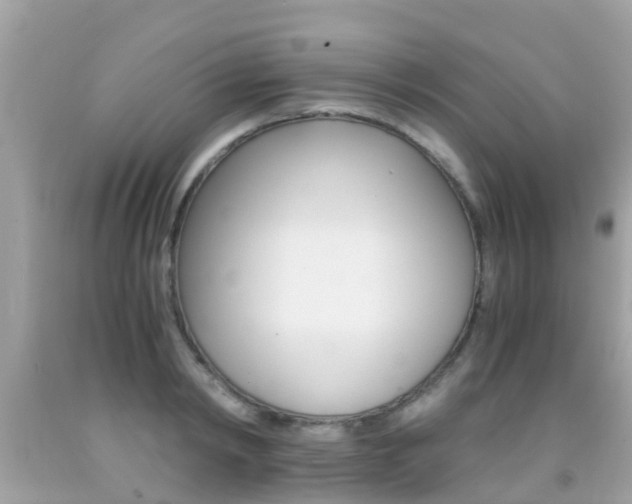 X0000091860798200709050956
